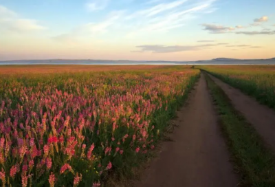 ​经典的人生格言语录 【经典的人生格言语句】