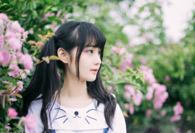 ​醉翁亭记教案