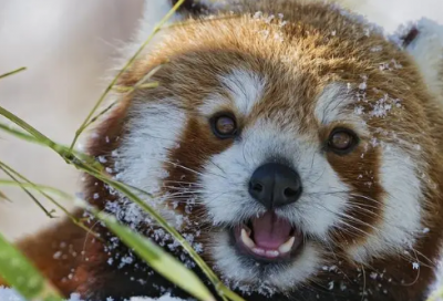 ​激励学习的名言名句