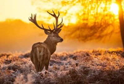 ​失败后的励志名言