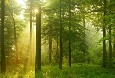 ​有关青春奋斗的名言