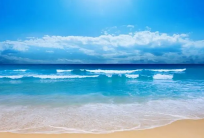 ​诚实名言大全