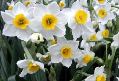 ​关于管理的名言