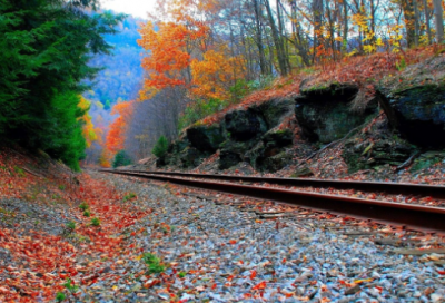 ​鼓励阅读的名言大全