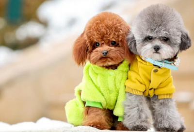 ​关于时间的名言名句