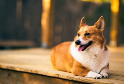 ​教育理念名人名言集锦