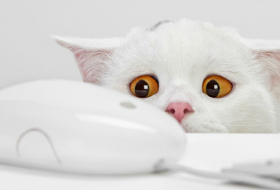 ​巴尔扎克励志名言