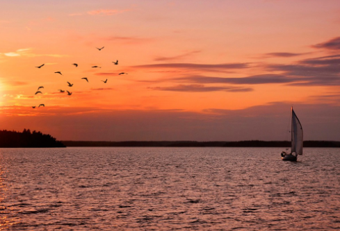 1695043755750303.png image.png