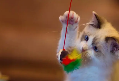 1695044418230112.png image.png