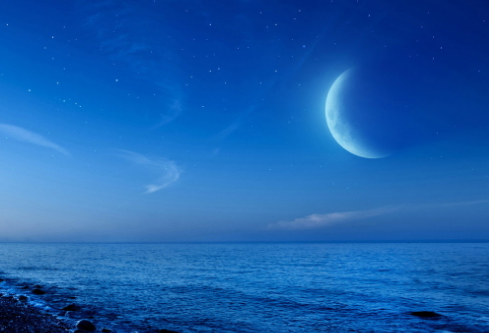 1695044584607812.png image.png