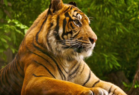 1695044750845291.png image.png