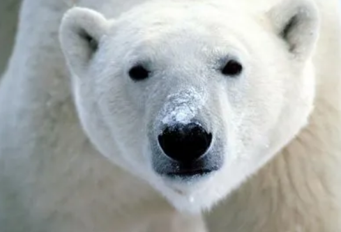 1695045082273236.png image.png