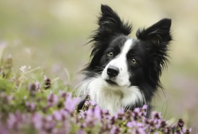 ​实践出真知的名言