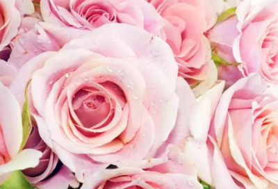 ​读书名言大全短的