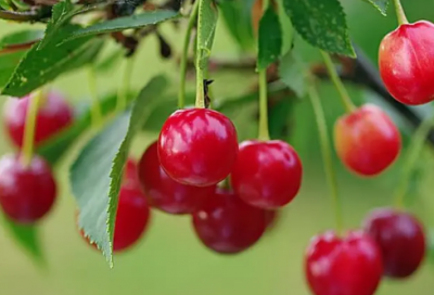 ​关于求知的名言警句