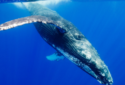 ​青春励志名言