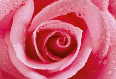 ​很酷很经典的名言