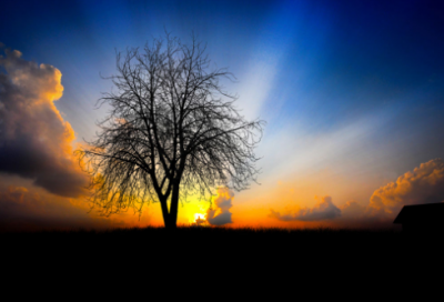 ​励志名言：所有的人，起初都只是空心人