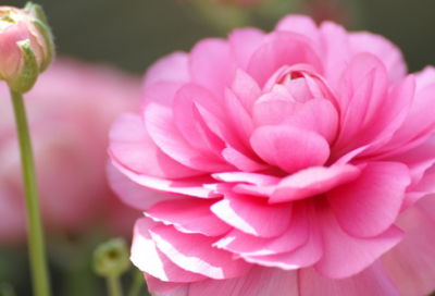 ​有感触的人生名言