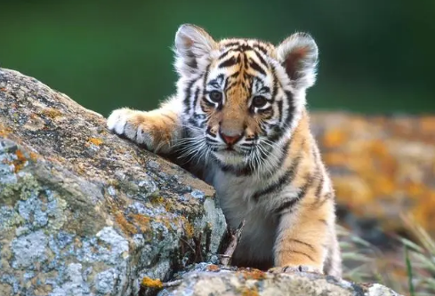 1695053380183722.png image.png