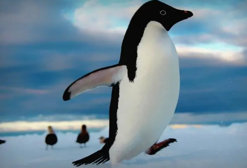 1695054873488193.png image.png