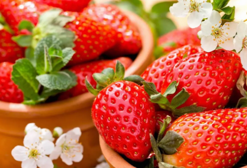 1695055371208854.png image.png