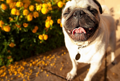 1695056043479616.png image.png