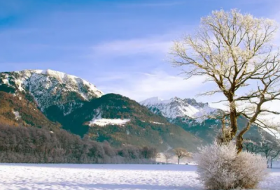 ​关于读书名人名言精选