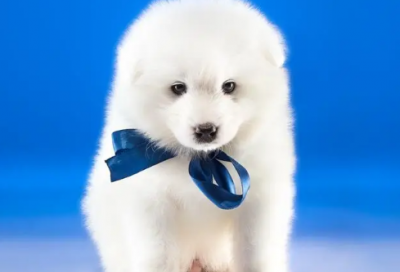 ​英语励志名言