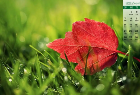 1695059224792162.png image.png