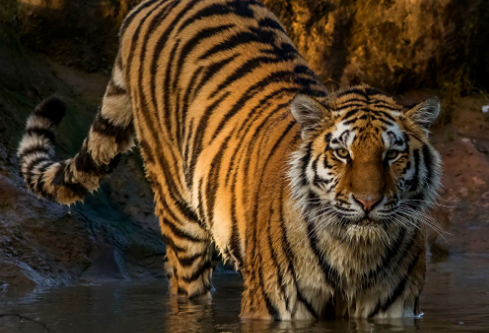 1695059889110258.png image.png