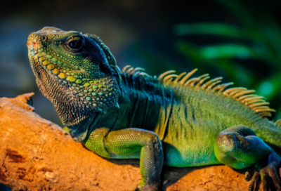 ​共勉名言大全