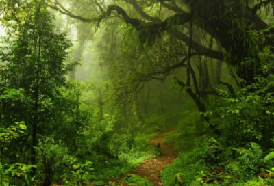 ​司马迁的名言【60句】