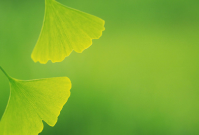 ​孝顺的名言警句