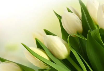 ​经典“教导”名言