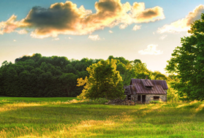 ​有关于诚信的名人名言