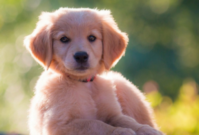 ​珍惜时间名人名言