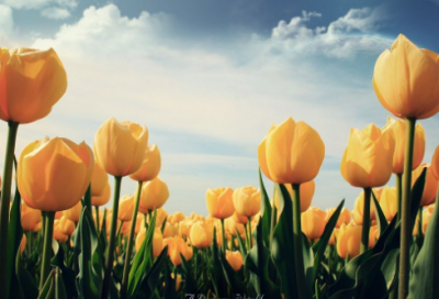 ​从头再来的人生励志名言