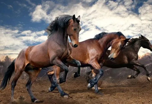 1695070347274475.png image.png