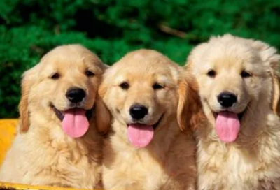 ​郭晓冬励志名言