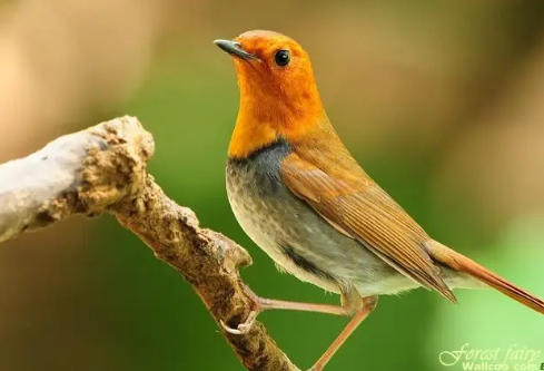 1695072339936267.png image.png