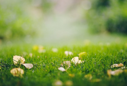 1695072505942748.png image.png