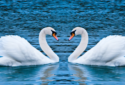 1695072837680980.png image.png