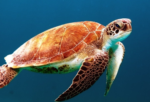 1695073168254677.png image.png