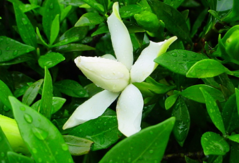 1695073334804201.png image.png