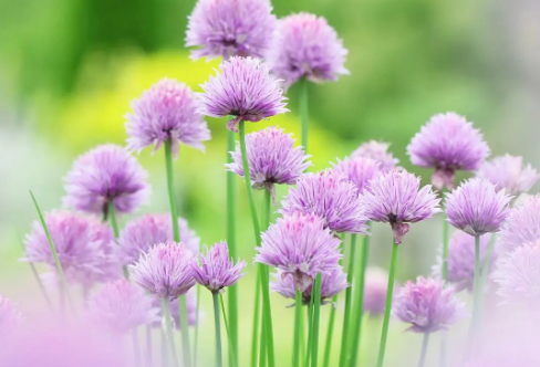 1708535745374215.png image.png