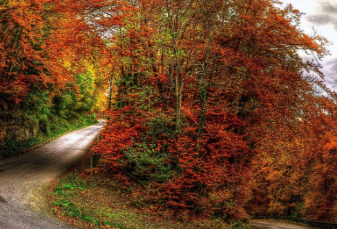 1708535911311531.png image.png