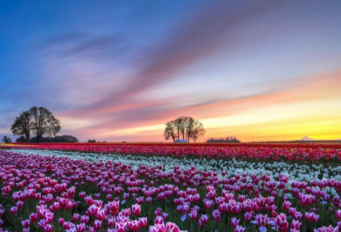 1708536244640942.png image.png