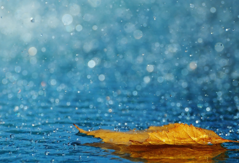 1708536577331379.png image.png