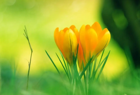 1708536744226906.png image.png